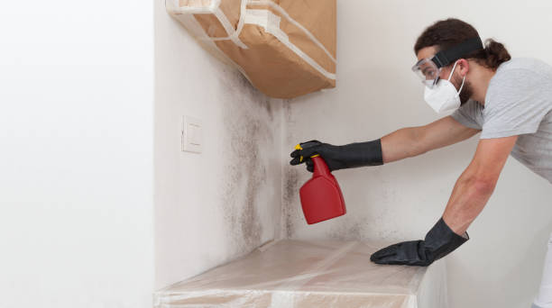 Professional Bathroom Mold Removal technician working in Bellevue, MI
