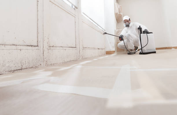24/7 Emergency Bathroom Mold Removal experts in Bellevue, MI